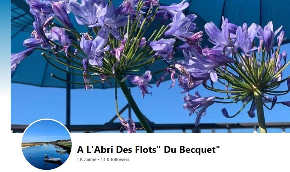 Gite La Fontaine Des Pres Cherbourg-en-Cotentin Ngoại thất bức ảnh